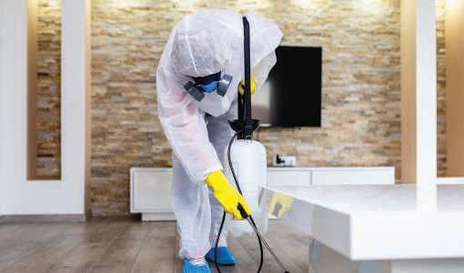 Sanitization & Disinfection Services by Bright Task Services, photo 2